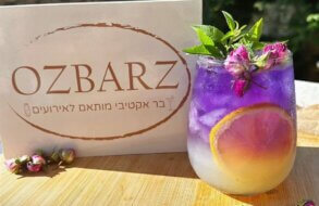 OZ -BARZ סדנאות & בר קוקטיילים מסיבת הרווקות שלכן כנסי עכשיו